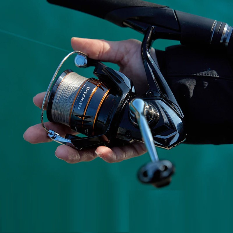 Shimano 2026 NEXAVE Spinning R - đánh giá và giá Daiwa Reel Bg